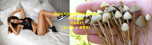 ALPHA-PVP Новокубанск