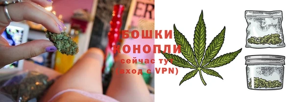 гидра Белая Холуница