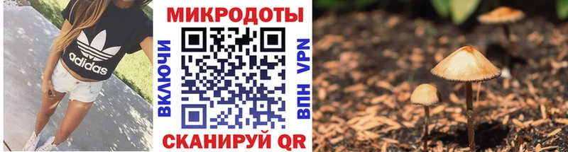 Галлюциногенные грибы ЛСД  Калининец 